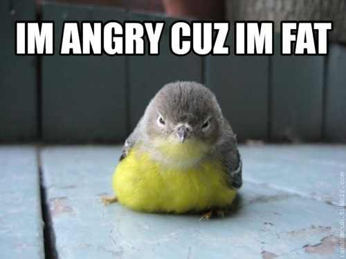 angry cause I'm fat