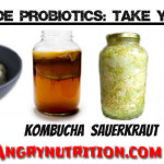 home made probiotics kefir yogurt kombucha sauerkraut