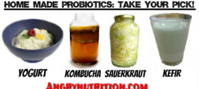 home made probiotics kefir yogurt kombucha sauerkraut