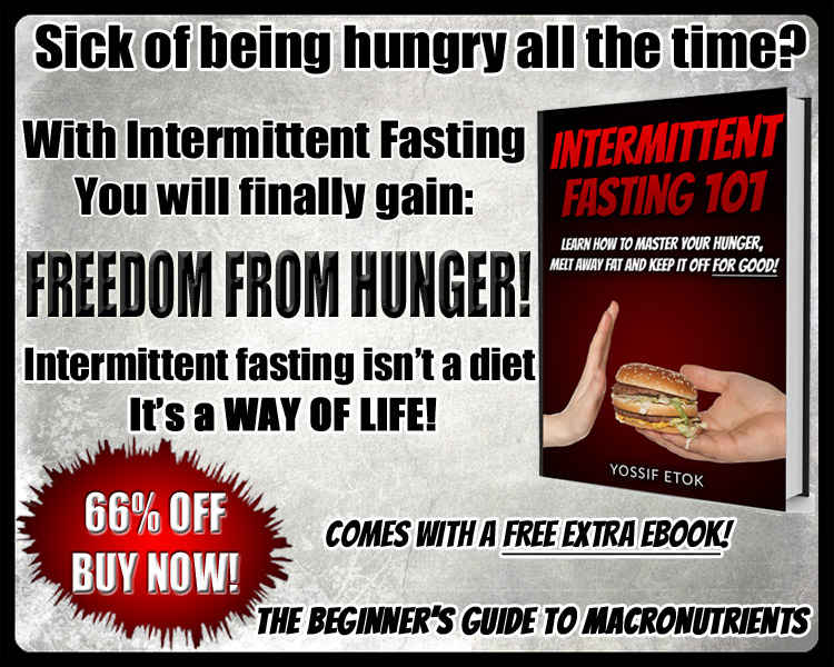 intermittent fasting 101 ebook